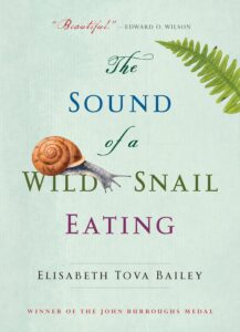 Book cover for The Sound of a Wild Snail Eating